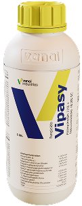 Vipasy