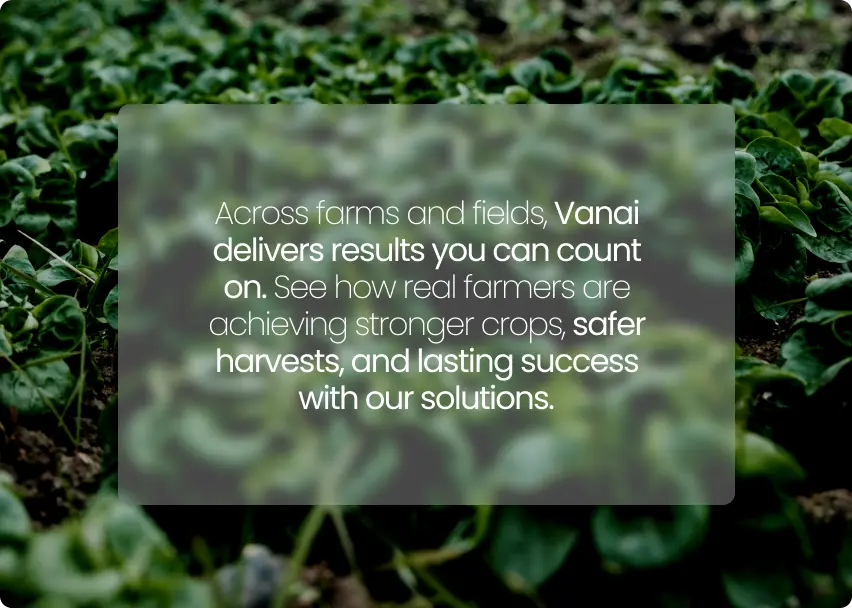 Vanai delivers results