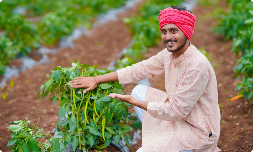 Farmer in field